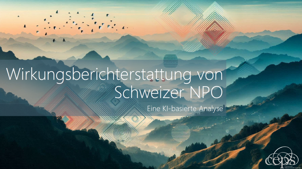 Wirkungsberichterstattung von Schweizer NPO