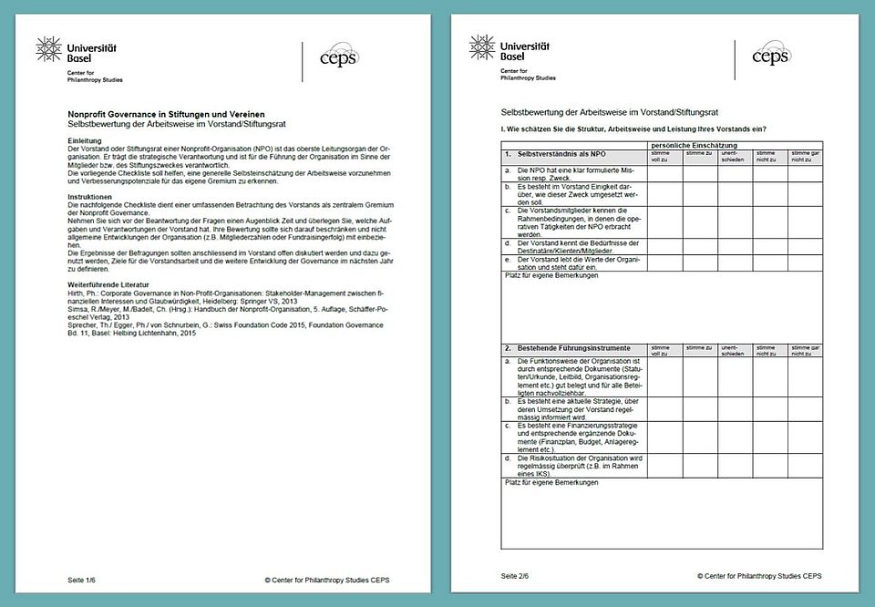Bild des Fragebogens Zugang zum Fragebogen Governance Self Assessment