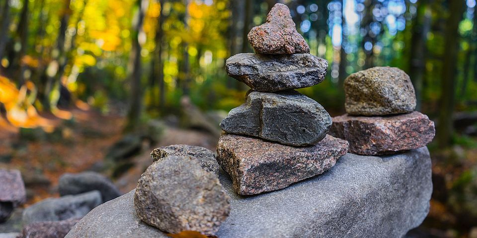 Wald in Herbstfarben 